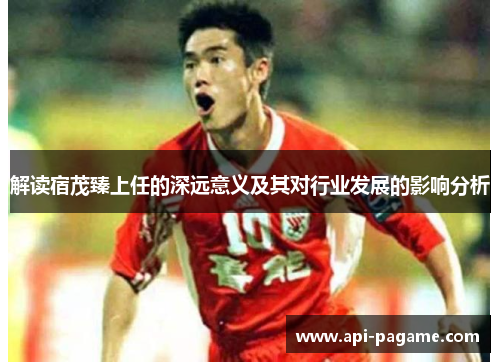 解读宿茂臻上任的深远意义及其对行业发展的影响分析