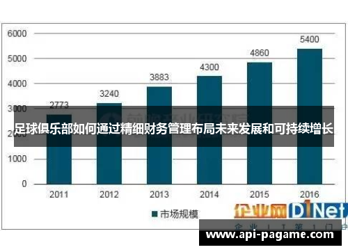 足球俱乐部如何通过精细财务管理布局未来发展和可持续增长
