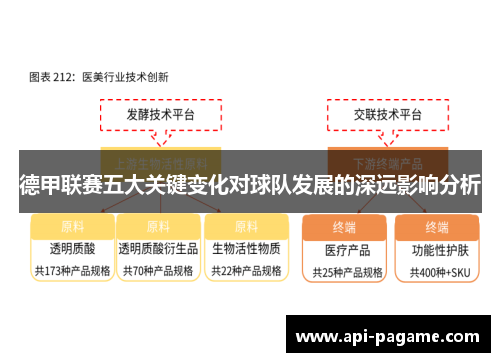德甲联赛五大关键变化对球队发展的深远影响分析