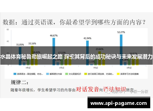 水晶体育秘鲁劲旅崛起之路 探索其背后的成功秘诀与未来发展潜力